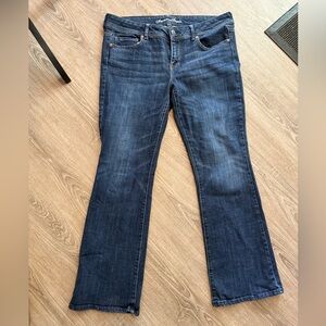 American Eagle Outfitters Dark Blue Straight Leg Jeans